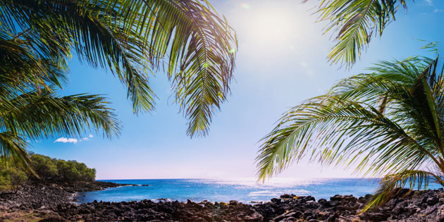 <a href="https://oip.hawaii.gov/time-limits-on-testimony/">NEWS FROM OIP: TIME LIMITS ON TESTIMONY<br /><span>Read More<span class="fa3icon icon-signin"></span></span></a>
